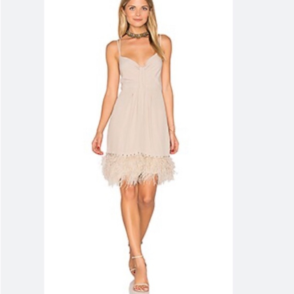 - Saylor dress/rhinestones and feather bottom